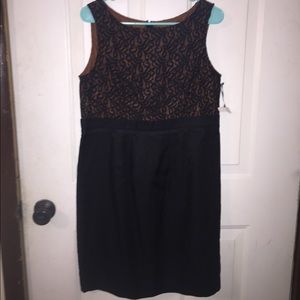 Merona knee length dress size 12 NWT